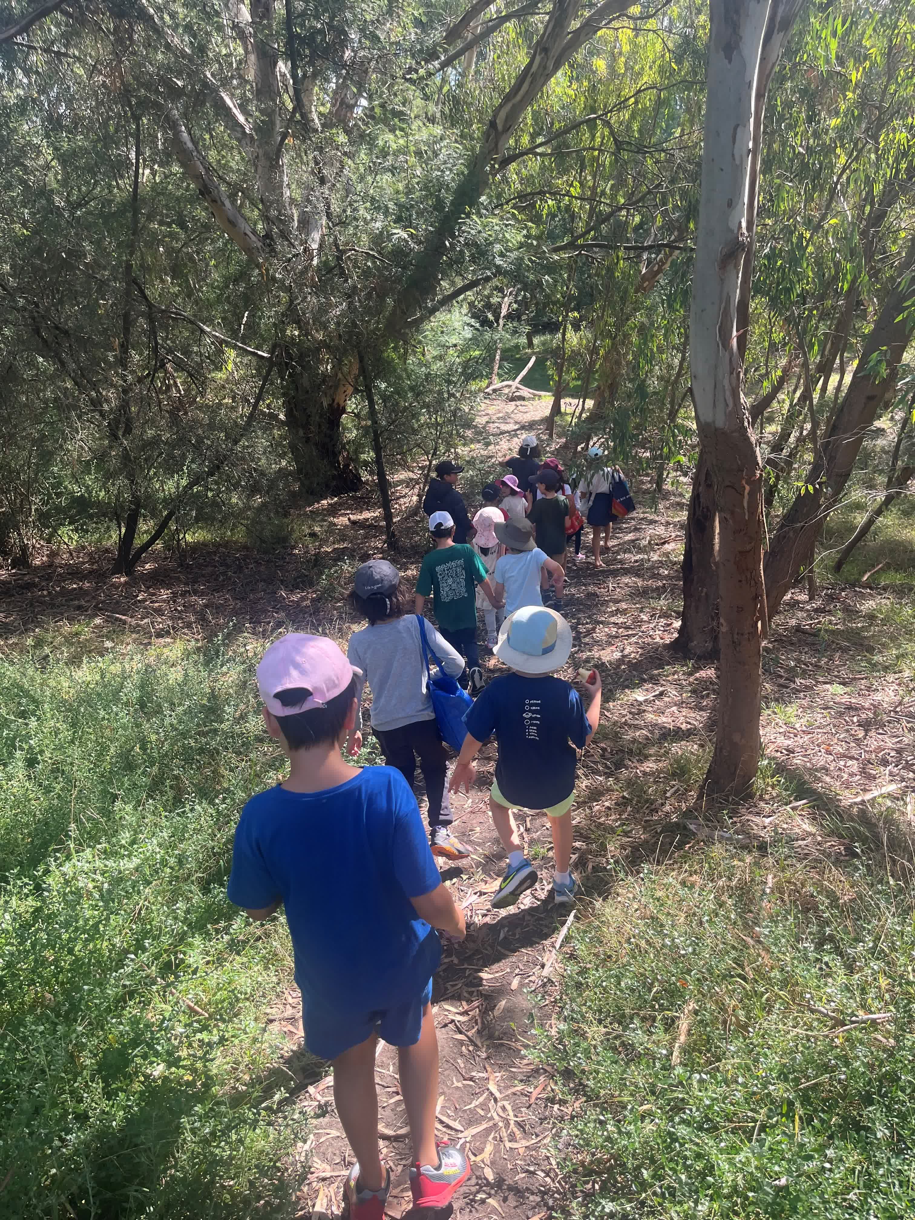 On a bushwalk